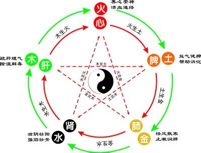 慈五行|慈字的五行属性